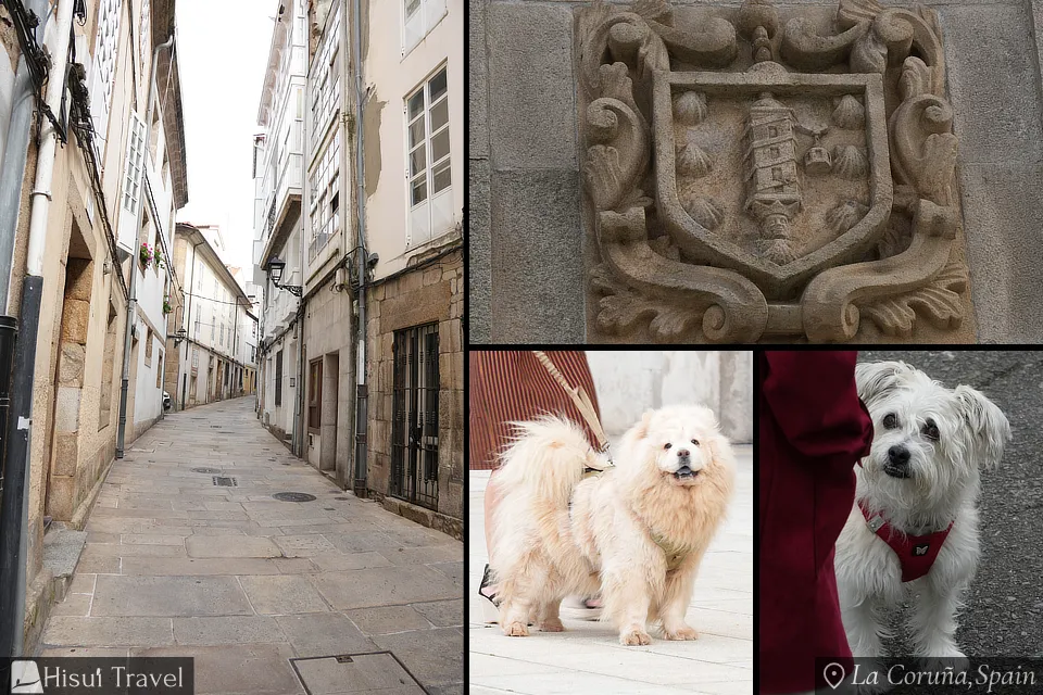 ア・コルーニャ旧市街の様子と散歩中の犬